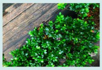 学会说话,这很重要