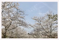 没有一帆风顺的人生