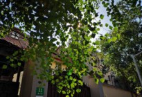 抑郁症患者最讨厌控制和说教