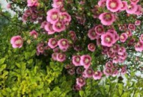 周末去哪儿· 参加第237期心理沙龙有感