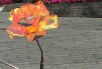 周末去哪儿——懂得包装自己的S女士